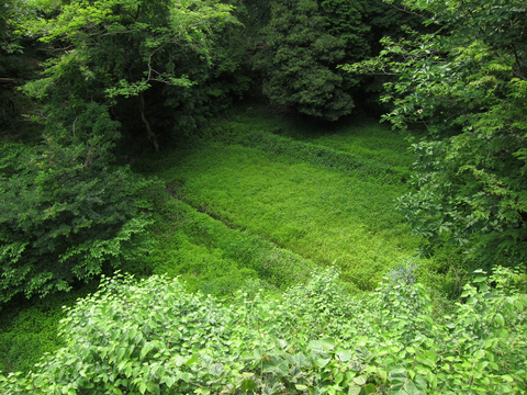 �ȥ����꤬��餹��