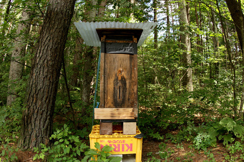 ミツバチの巣箱