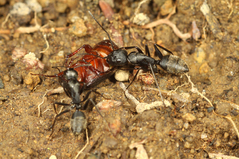 ������������