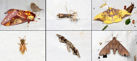 �饤�ȥȥ�åס��ڥ롼