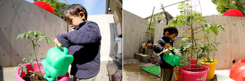 ��Ĺ���ᤤ�ȥޥ�