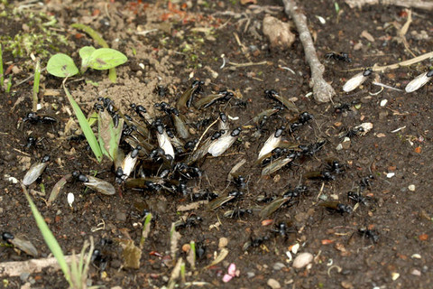 ������������η뺧����