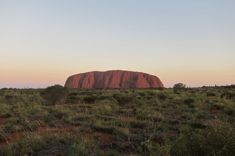 �����������å�