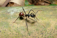 ��������������