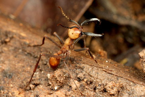 ���󥿥�����