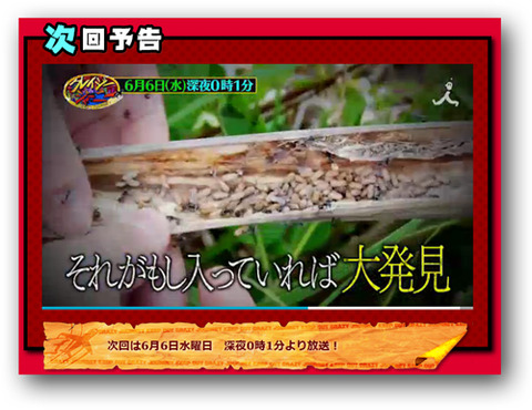 クレイジージャーニー