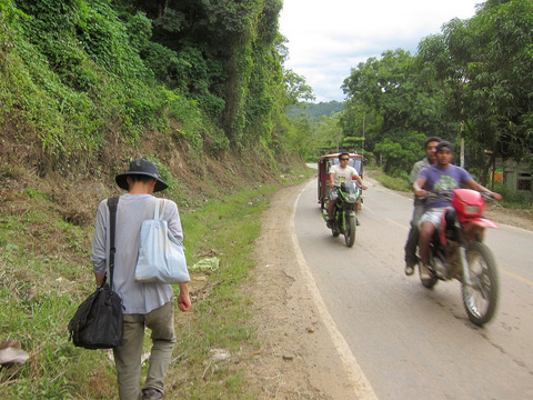 ��������Ȼ���