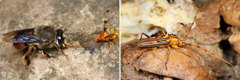 �ϥ������ߥ���ॷ