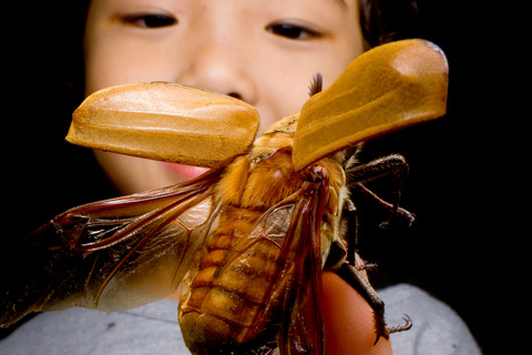 HID��Ȥäƥ饤�ȥȥ�å�