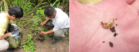 ��������ν�