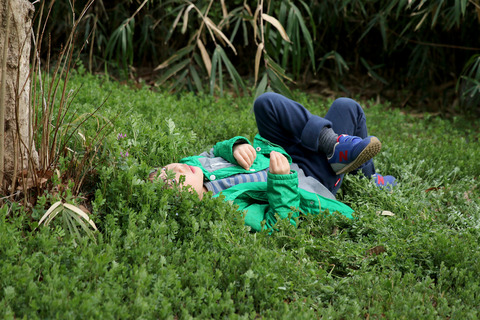 東京に春が来た!