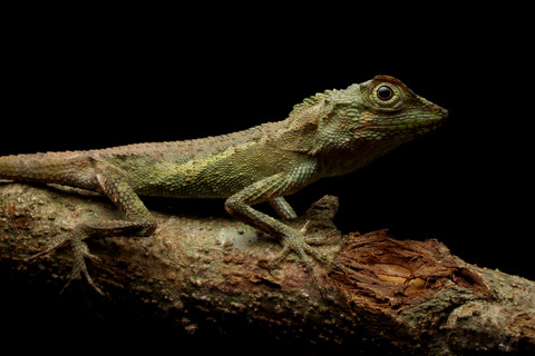 ¥ª¥¥Ê¥ï¥¥Î¥Ü¥ê¥È¥«¥²