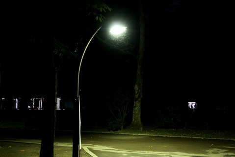 ���������ꥢ������η뺧����