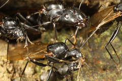 ������������