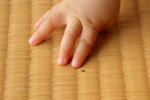 ����õ��