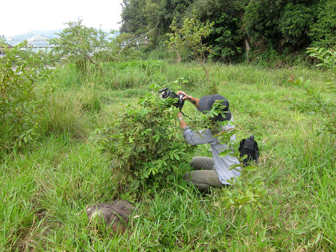 ��������Ȼ���