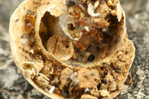 �������������