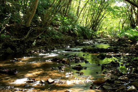 �����ο�