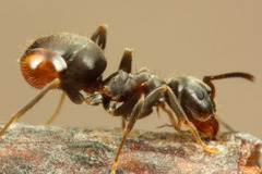 ����˴����������