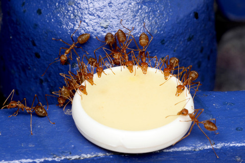 �ĥ८����λ�ɻ���