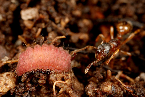 ���ޥ����ߤȥ��說��������