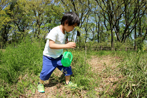 ½Õ¤Î¸ø±à¤Ç¥È¥«¥²ºÎ¤ê