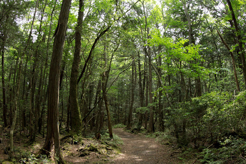 ���꤬¿����餹��