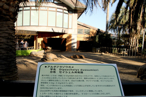 ��������iZOO