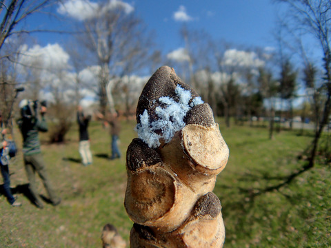 ÀãÃî¤Î°ìÀ¸