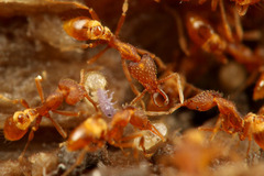 ����������