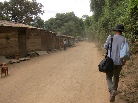 ��������Ȼ���