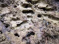 ���֥����ᥤ�������������