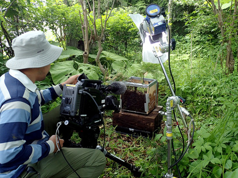 ���ѿȡ��̳�ƻ����ˤʤä���