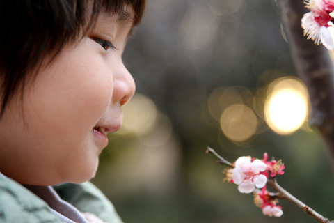 東京に春が来た!