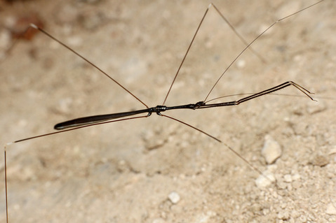 �����ʥ���������