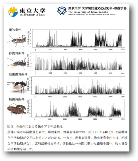 �ȥ������ϥꥢ��