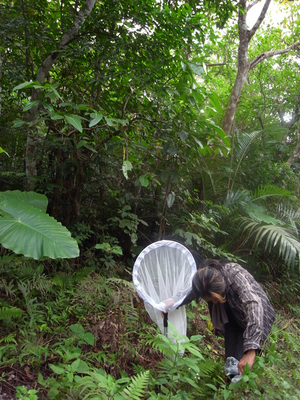 ���ܤ���