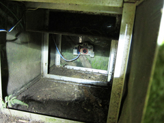 ��ޥͥ�Ĵ��