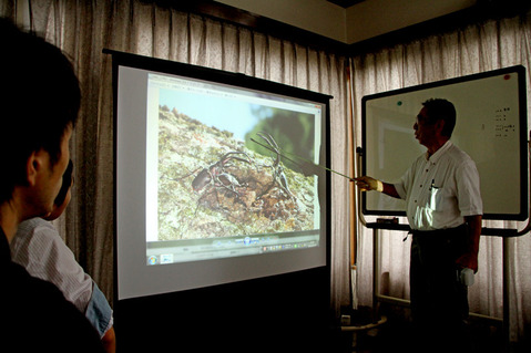 好蟻性昆虫勉強会