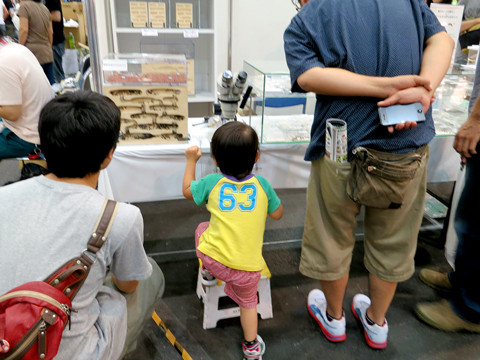 ジャパンレプタイルズショー2012