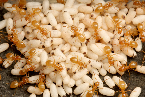 ����1ǯ7�����ܤΥ��ᥤ��������