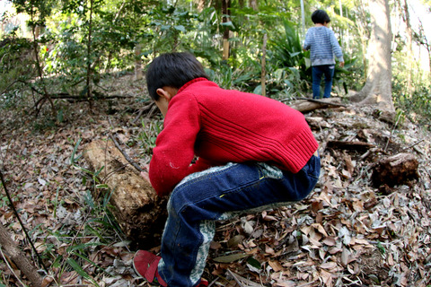 ¶á½ê¤Ç¤ª²Ö¸«