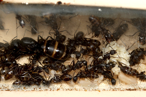 ������������