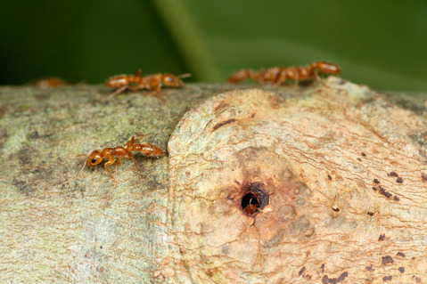 ������������