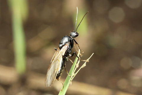 ������������η뺧����