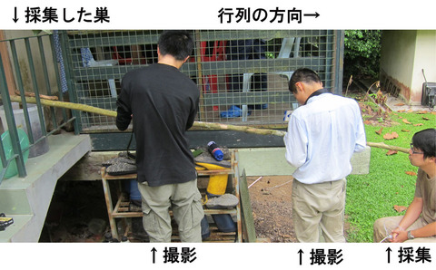 �ҥ᥵���饤����ѻ�