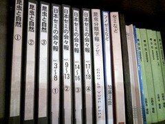 ペンション ファーブル