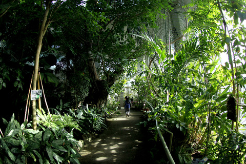 板橋区立 熱帯環境植物館 (9)