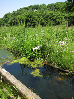 ����꤬�������