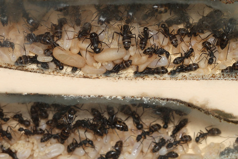 ������������